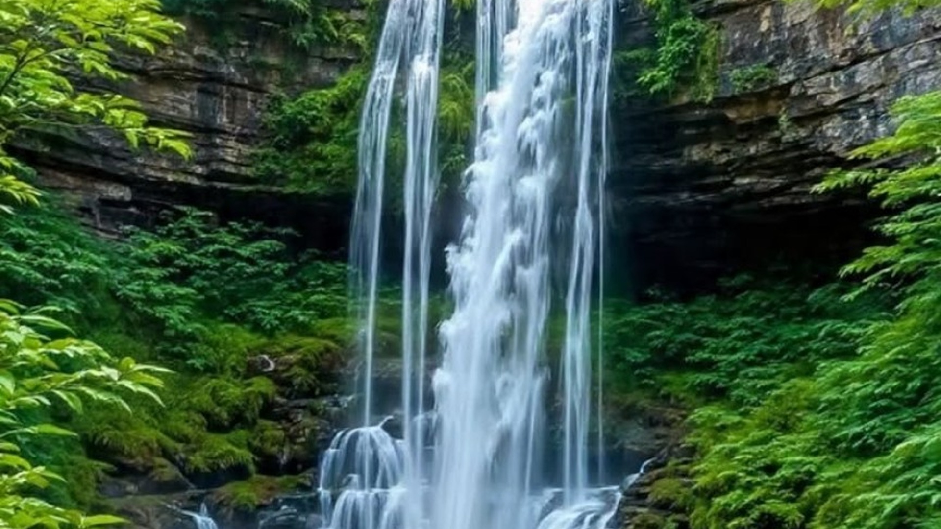 Waterfall surrounded by green forest